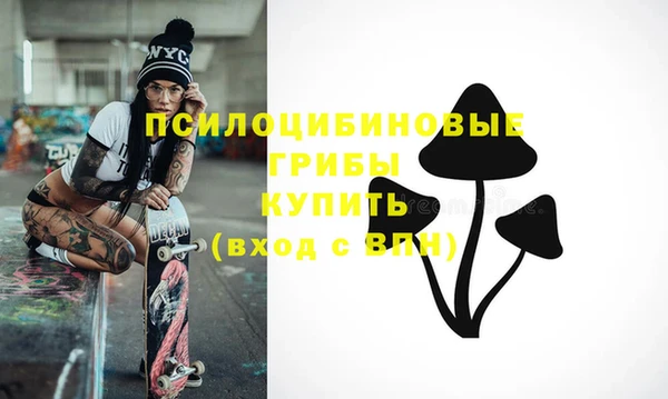 винт Арсеньев