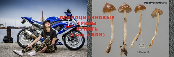 винт Арсеньев