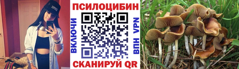 мориарти наркотические препараты  Сясьстрой  гидра рабочий сайт  Галлюциногенные грибы ЛСД  как найти закладки 